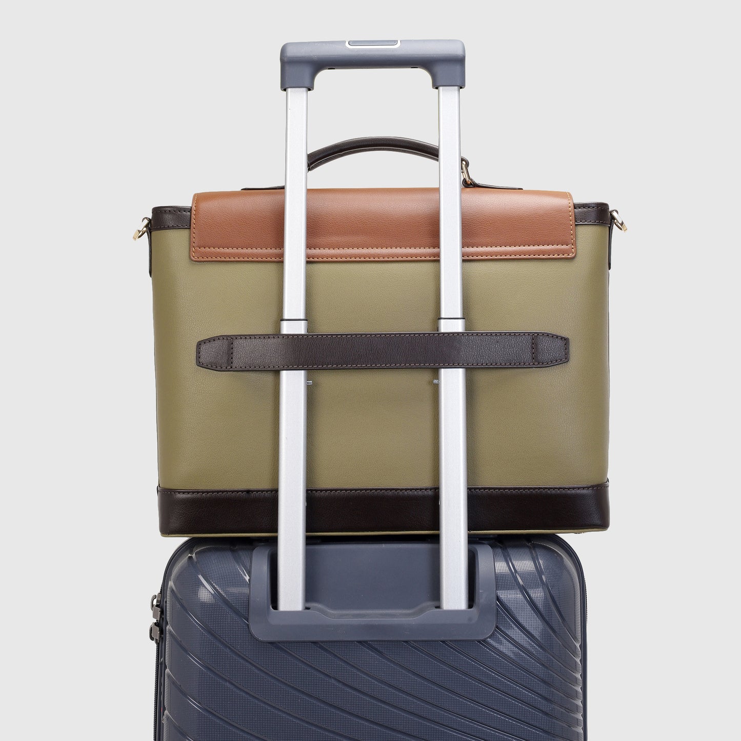 MAPLE OLIVE /GOLD TRIM